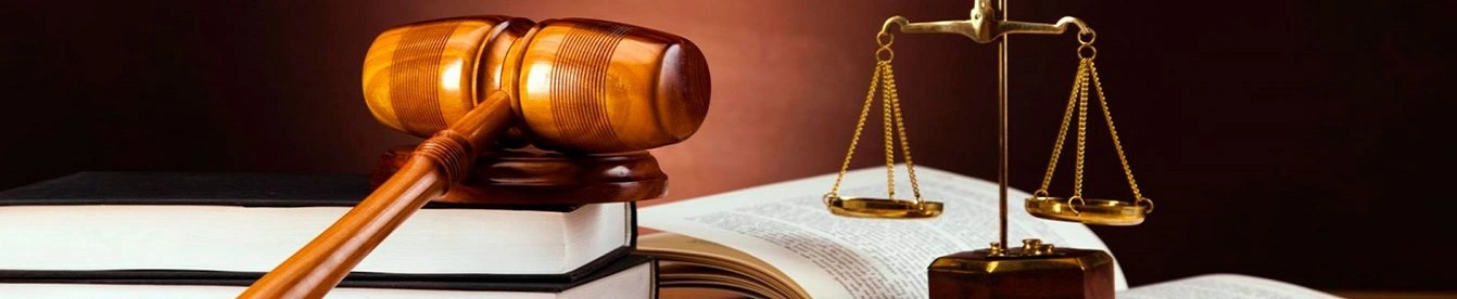 Programa Pro Bono CPL Consultores