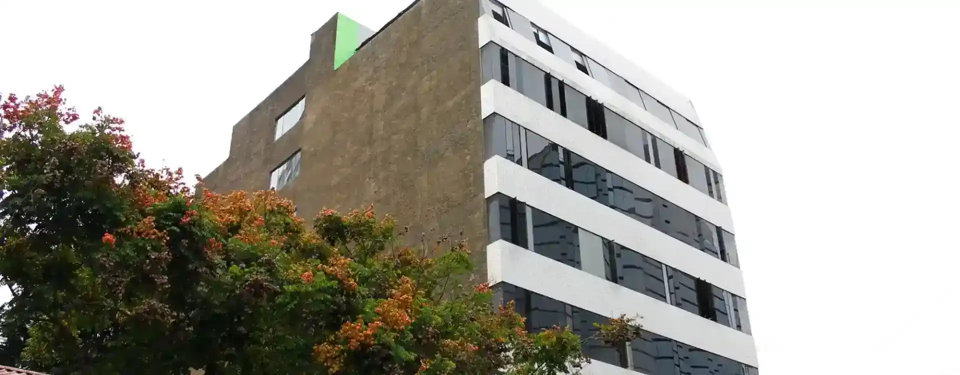 Firma ágil y enfocada en liquidez real